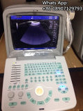 Ce Portable B Ultrasound Scanner