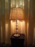 Beatuiful Iron Crystal Table Light with Pattern Lampshade (TL 1560/C+WT)