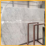 Bianco Carrara White Marble Building Material Slabs for Flooring Tiles/Wall Tiles