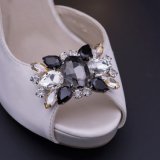 Fashion Shoe Ornament for Ladies Shoes