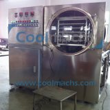 Cordyceps Sinensis Vacuum Freeze Drying Machine/Lyophilization Dryer