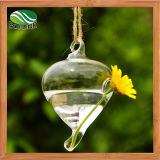 Creative Q Shape Hanging Glass Vase
