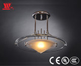 New Designed Ceiling Lamp with Acrylic Ring in Dress