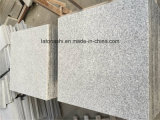 Cheap Flamed G603 Impala Grey Granite for Wall/Floor