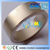 Customize Sintered Super Strong Ring SmCo Magnets