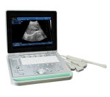 High Quality Hv-9 Laptop Ultrasound Scanner Portable Ultrasound Vet Ultrasound for Animals