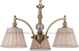 New Design Grace Iron Pendant Lamp Chandelier (SL2088-3)