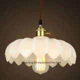 Modern Hanging Pendant Lamp for Indoor Lighting Decorative