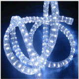 Customized 3 Wire Flat Vertical LED Rope Light Factory Price