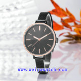 Hot Selling Custom Design Watch Casual Wrist Watches (WY-17026B)