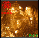 LED Christmas String Light Warm White (LS-5-50-M1)