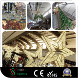 Chritmas Star Decorations Lights for Shopping Mall