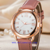 Fashion Watch Customize Casual Wrist Watches (WY-17045)