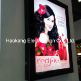 Ultra-Thin Outdoor Waterproof Advertising Light Boxes Display