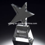 Star in Action Crystal Award