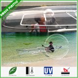 See Through Glass Bottom Canoe Transparent Ocean Kayak Germany Deutschland