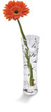 Clear Acrylic Rectangle Vase for Home