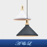 Nordic Designer Model Artistic Pendant Lamp for Living Room