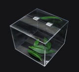 Custom Clear Acrylic Tea Display Box