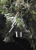 Christmas Tree Hanging Crystal Glass Pendant Ornament