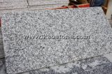 Cheap Polished Grey/Gray Granite G640 for Wall/Floor Tile
