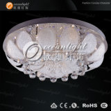 Glass Chandeliers Pendant Lighting (OM302 Dia60cm)