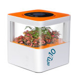 Desktop Air Cleaner with 100% Plant Crystal, Healthy Way to Kill Bacteria and Remove Odor