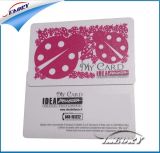 Top Quality Printing Plastic ID Card/PVC Card