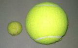 High Quality 2.5 Inch OEM Training Tennis Ball