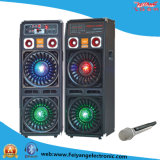 Feiyang Temeisheng 2X10'' Professional DJ 2.0 Wooden Speaker Box with Big Amplifier Bluetooth F623