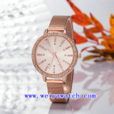 Custom Name Watch Alloy Business Wrist Watches (WY-17027A)