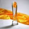 China New Fashion Crystal Blank Trophy (JD--CT05)