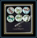 Dome Crystal Magnet Packing Window Gift Box