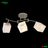 New Design Chandelier with Glass Shade Lighting Fitting for Home