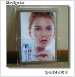 Adverting and Decoration Crystal Light Box