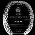 New Fashion Blank Crystal Trophy Award (JD-K135)