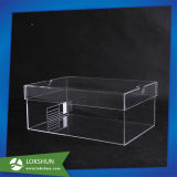 Wholesale Trasparent Clear Acrylic Shoe Box with Lid