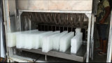 10t/Day Ice Maker Salt Water Commercial Ice Maker