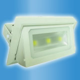 White LED COB Downlight, 30 Watt LED Down Light