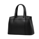 Women PU Fashion Evening Leather Hand Bag Designer Lady Handbag (FTE-037)