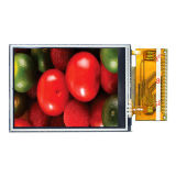 Stn COB LCD Display Module Characters and Graphics