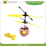 Birds Model Crystal Induction Aircraft RC Helicopters Toy for Kids