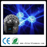 Ye004f The Cheapest Price LED Sound Control Mini Terrarium