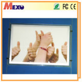 Factory Price Double Side LED Advertising Light Box (CDH03-A1L-01)