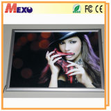 Snap Frame Wall-Mounted LED Advertising Light Box (SSW01-A3L-01)