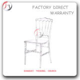 Transparent Epulary Room Dinner Party Chair (RT-91)