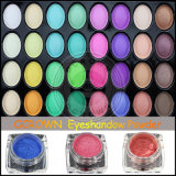 2017 Lady Eye Shadow Pallete Colors Earth Matte Makeup Pigment