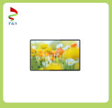 60 Inch IPS TFT LCD Multi-Media Display with Resolution 3840 (RGB) X2160 TV Monitor