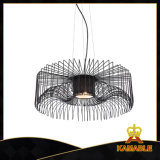 New Style Steel Pednant Lamp (MD6030A-B)