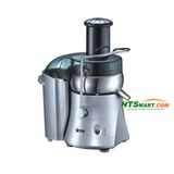 750W Fruit Juicer (KS-9000)